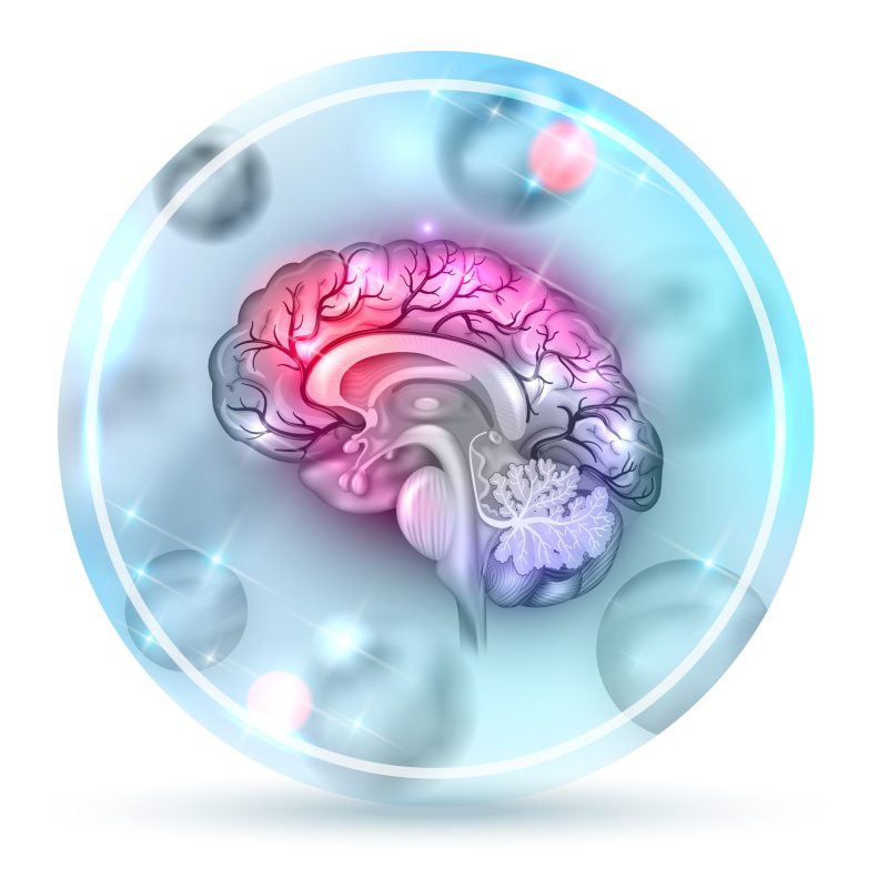 Human brain illustration round icon design bright colorful drawing with abstract balls on a light blue background.